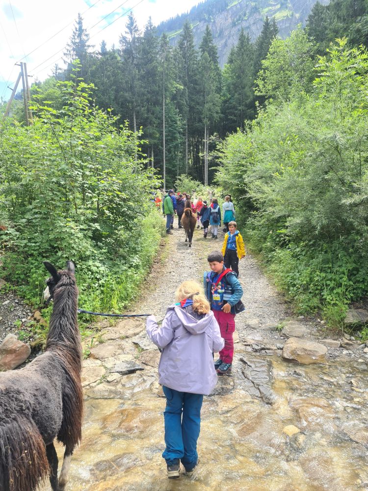 Lama Wanderung